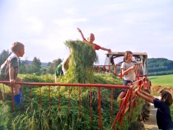 Kinderfreundlicher Bauernhof bei Regen