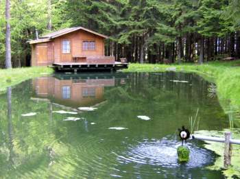 Idyllische Waldhaus am See