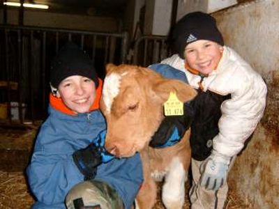 bayerwald-blick-kinderfreundlicher-bauernhof-bayern-400