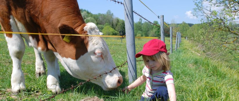 Urlaub auf dem Bauernhof im Landkreis Regen Arberregion