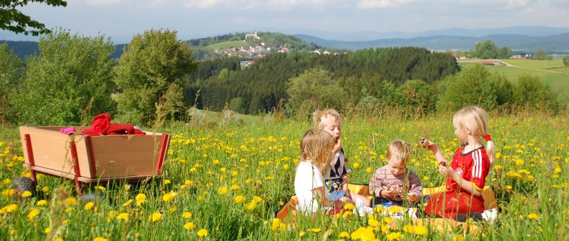 bayerwaldblick-kinderurlaub-bayerischer-wald-spielwiese-panorama-822